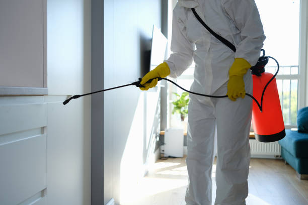 Best Certified Mold Removal  in Willow Creek, CA